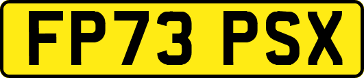 FP73PSX