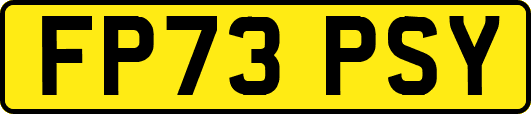 FP73PSY