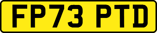 FP73PTD
