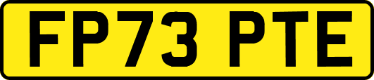 FP73PTE