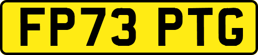 FP73PTG