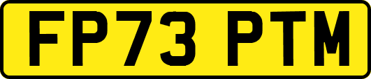 FP73PTM