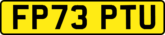 FP73PTU