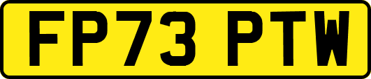 FP73PTW