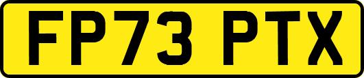 FP73PTX