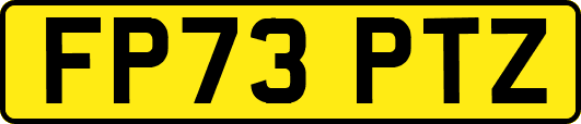 FP73PTZ