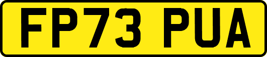 FP73PUA