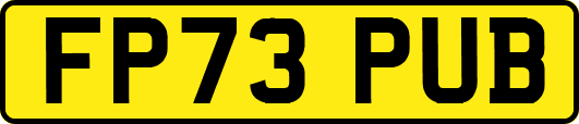 FP73PUB
