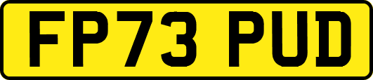 FP73PUD