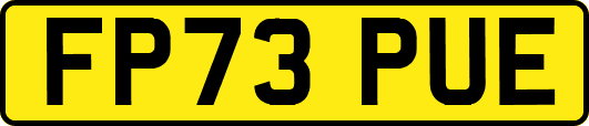 FP73PUE