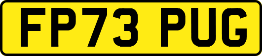 FP73PUG