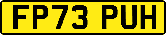 FP73PUH