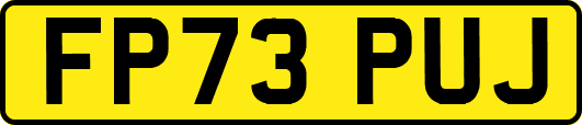 FP73PUJ