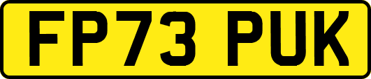 FP73PUK