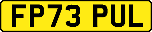 FP73PUL