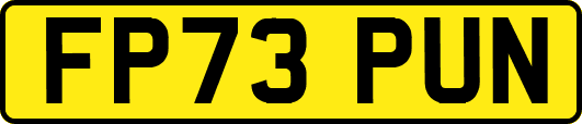 FP73PUN