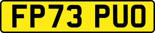 FP73PUO