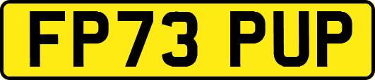 FP73PUP