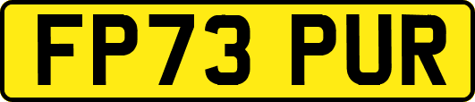 FP73PUR