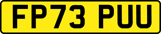 FP73PUU