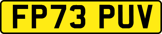FP73PUV