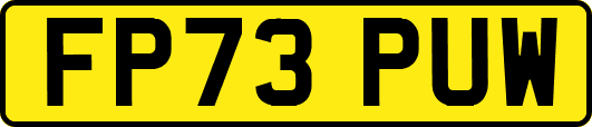 FP73PUW