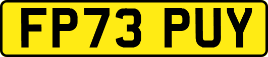 FP73PUY