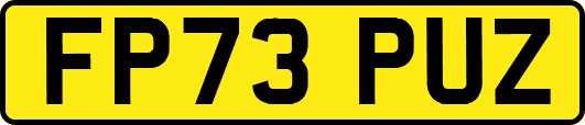 FP73PUZ