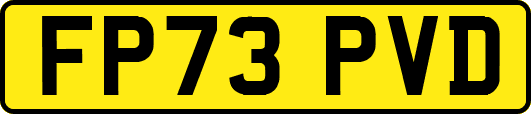FP73PVD