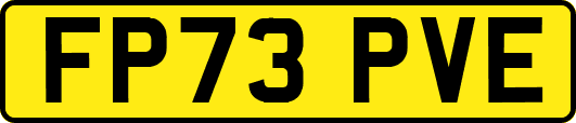 FP73PVE
