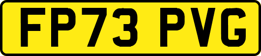 FP73PVG