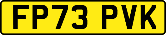 FP73PVK