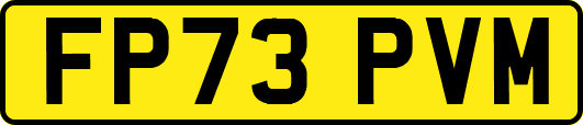 FP73PVM