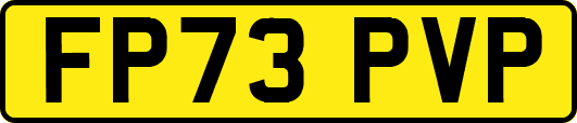 FP73PVP