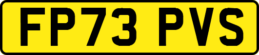 FP73PVS