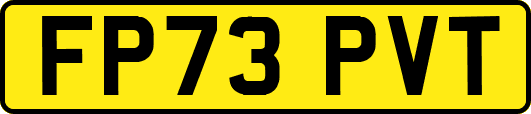 FP73PVT