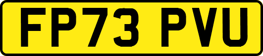 FP73PVU