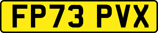FP73PVX