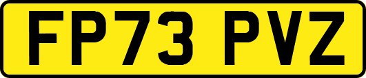 FP73PVZ