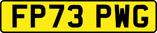 FP73PWG