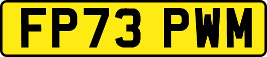 FP73PWM