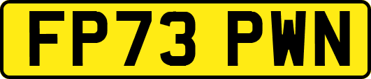 FP73PWN
