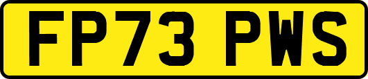 FP73PWS