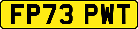 FP73PWT