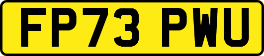 FP73PWU
