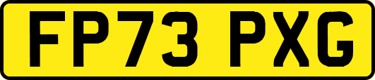 FP73PXG