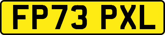 FP73PXL