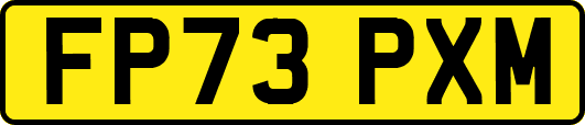 FP73PXM