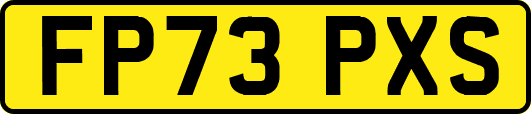 FP73PXS