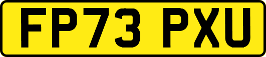 FP73PXU